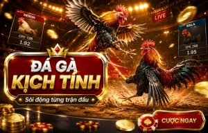 Giao diện sảnh Đá Gà WevoManagement